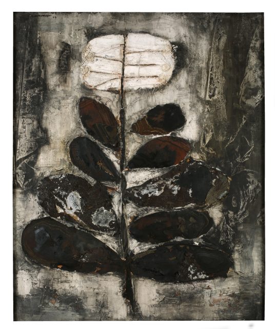 Flowered tree